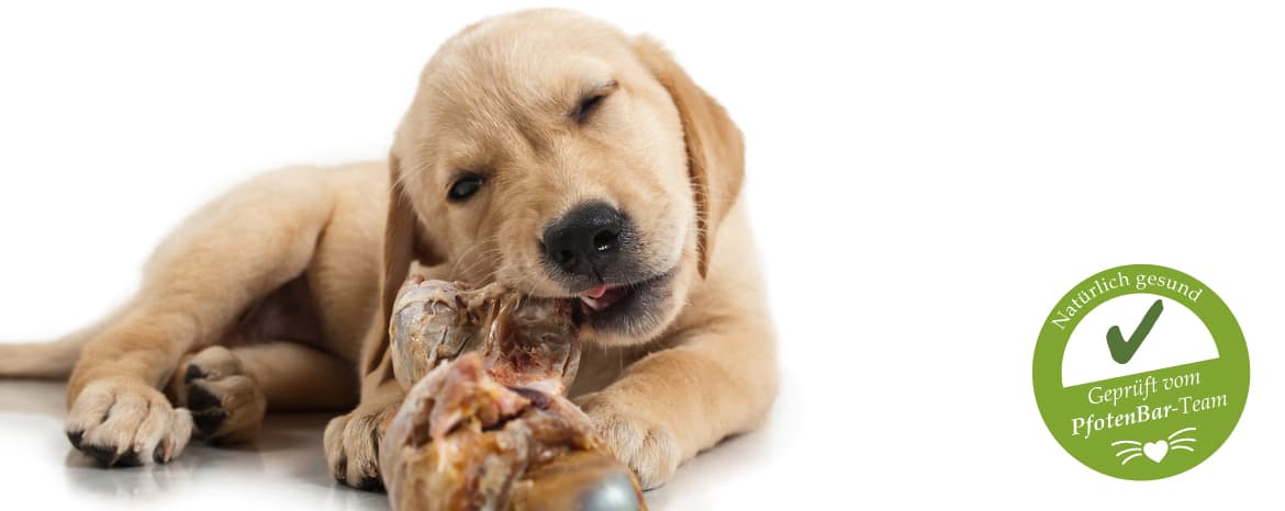 Barf - Bone and raw Foods