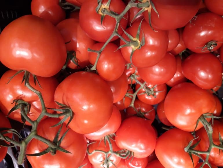 tomaten