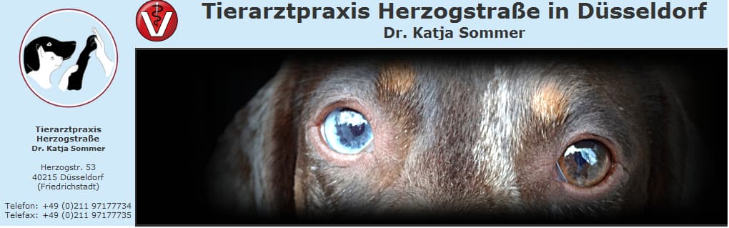 tierarztpraxis-herzogstrasse